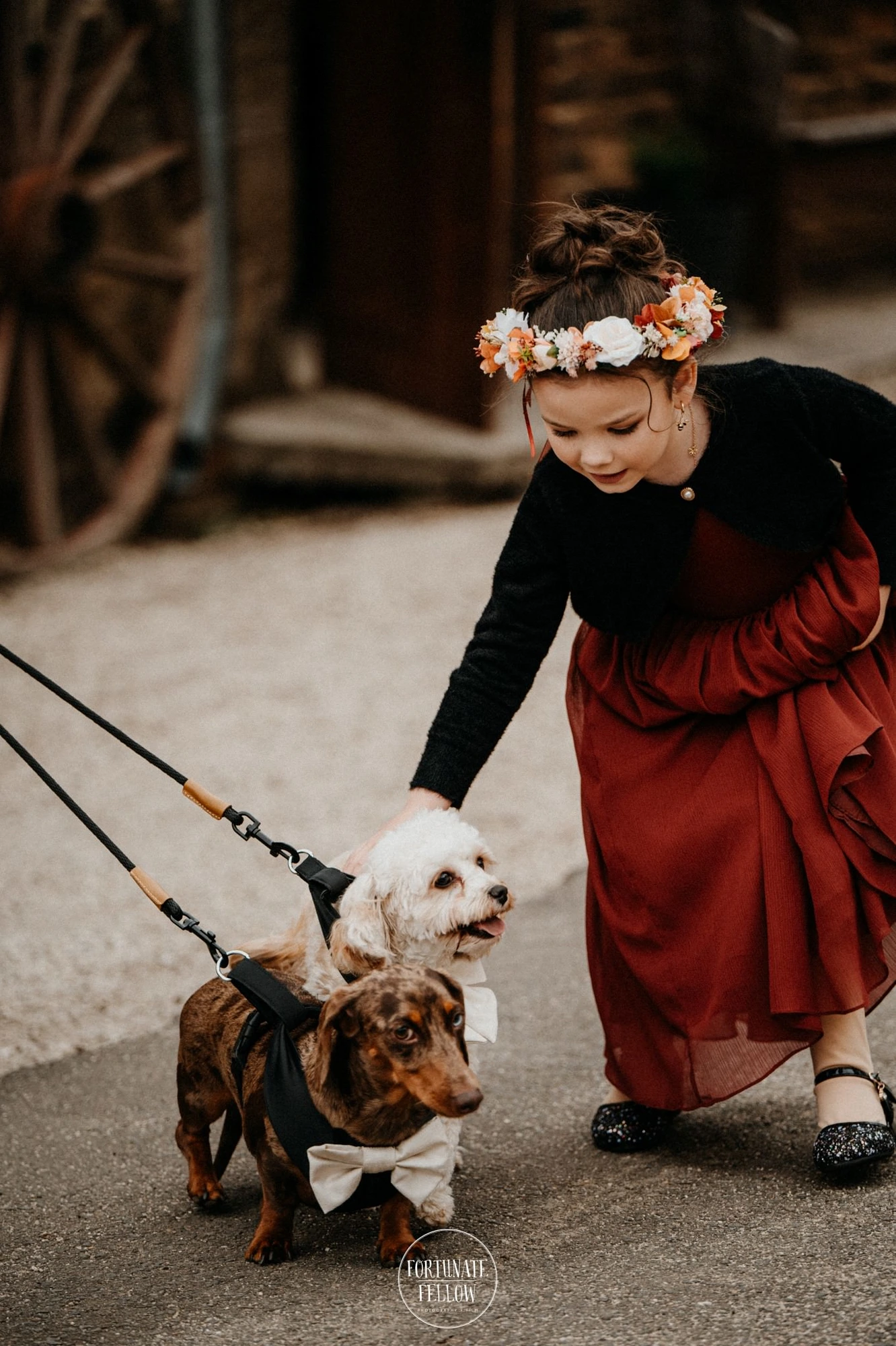 Animals & Pets